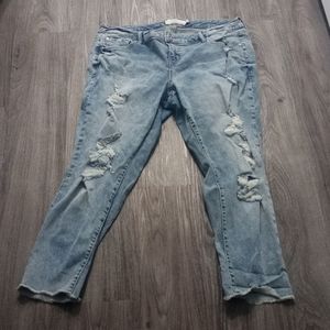 Torrid jeans